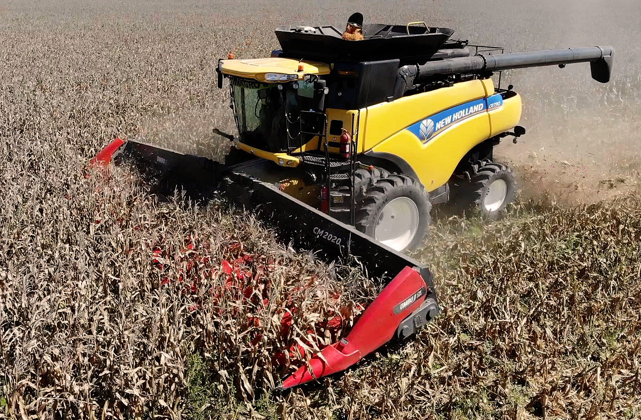 CABEZAL MAICERO CM 2020